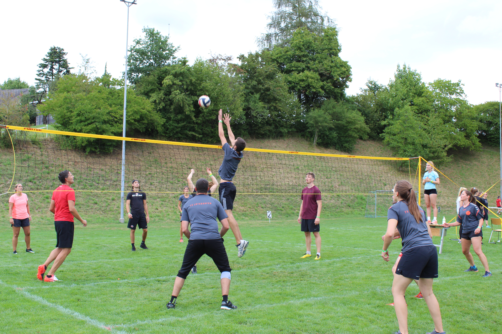 Volley  (67)
